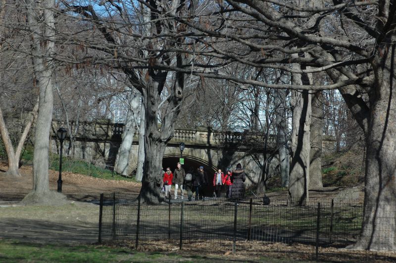 DSC_0060 DSC_0060