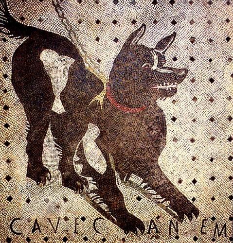 Cave canem