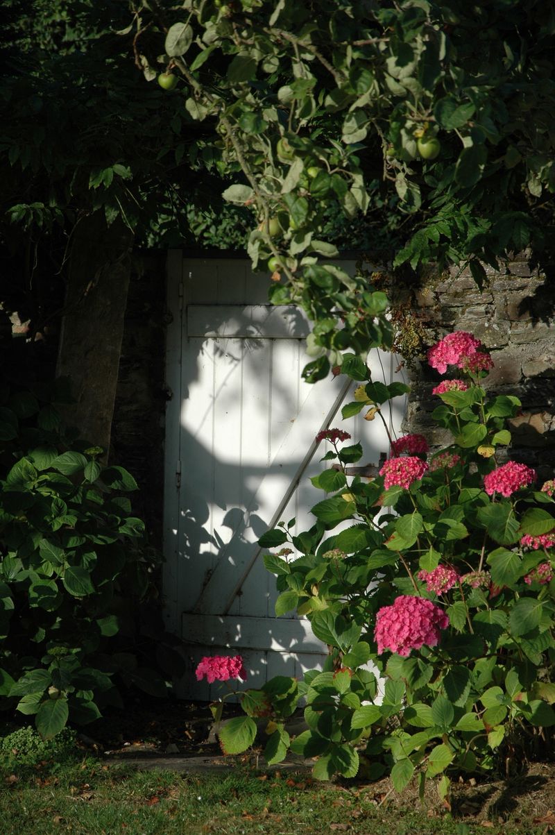 DSC_0064 DSC_0064
