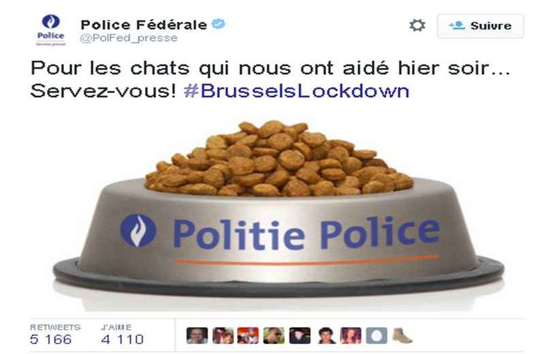 2048x1536-fit_chats-aides-hier-soir-servez-ecrit-police-federale-belge-compte-twitter-remerciement-chats-virtuels-envahi-toile-dimanche-soir