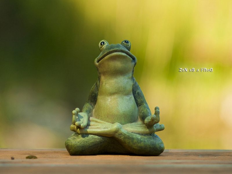 Zen_as_a_frog