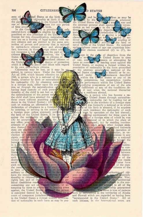 Alice-livre